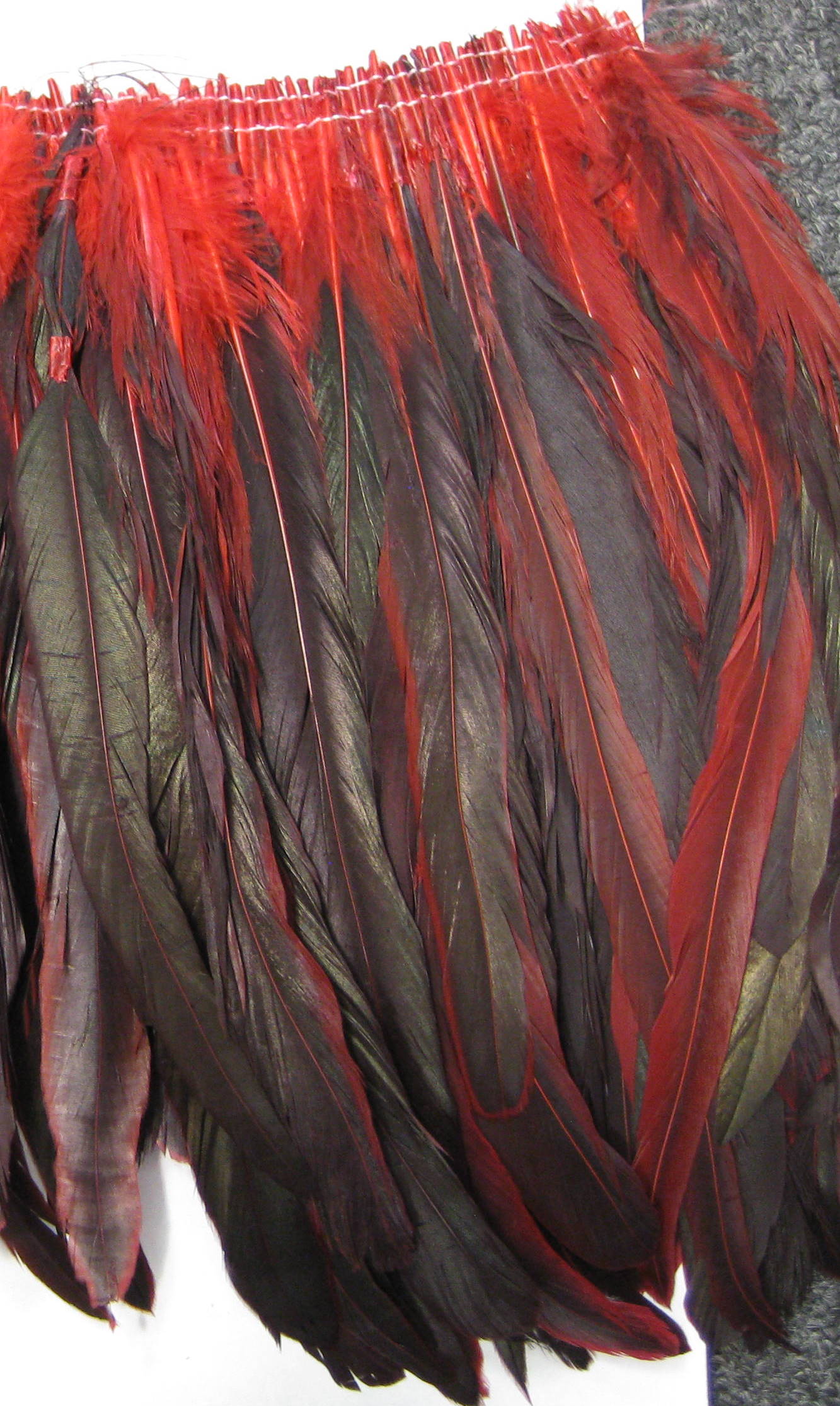 COCK FEATHER COCK FEATHER